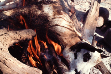 Pokot Kenya 1977