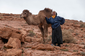 Nomadic architecture in Africa-1030434