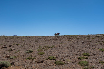 nomad