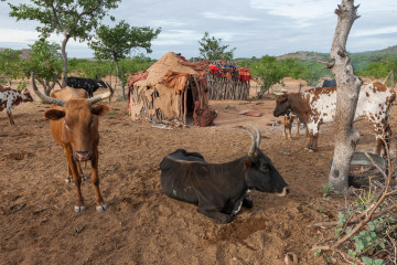 namibia-DSC_0049