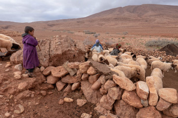 Nomadic architecture in Africa-1030545