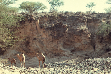 Pokot Kenya 1977