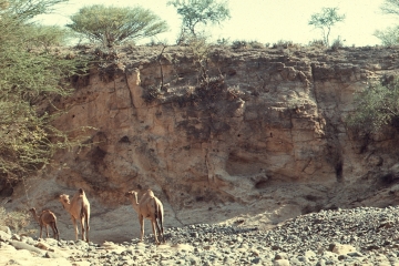 Pokot Kenya 1977