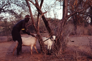 Pokot Kenya 1977