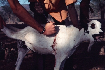 Pokot Kenya 1977