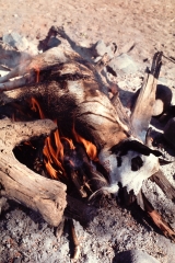 Pokot Kenya 1977