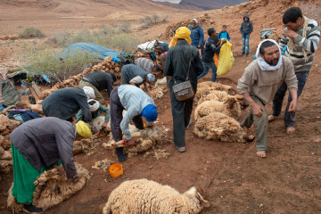 Igoudmane 2019-03
