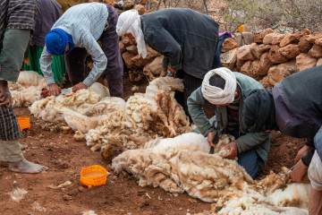 Igoudmane 2019-03