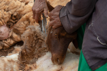 Igoudmane 2019-03