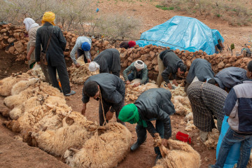 Igoudmane 2019-03
