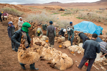 Igoudmane 2019-03