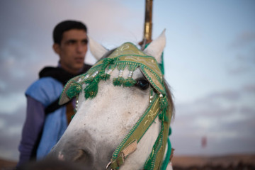 Moussem Tan-Tan, Morocco