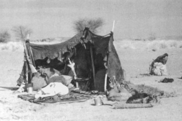 Tuareg-85